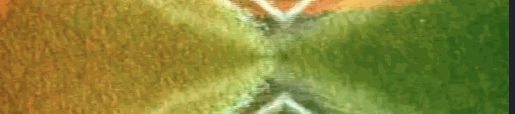 patchtogether.live footer banner