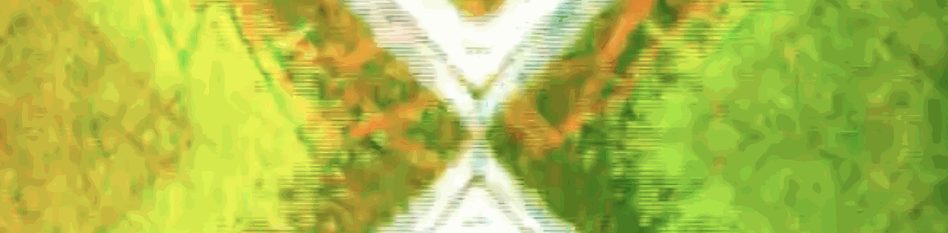 patchtogether.live header banner